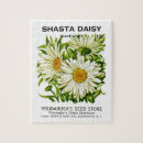 Suche nach gänseblümchen puzzle Blume