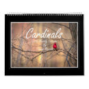 Suche nach kardinäle kalender Fotografie