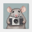 Suche nach ratte magnete Darstellung