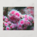 Suche nach verschieden postkarten Originell