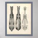 Suche nach veterinär poster Tierärztlich
