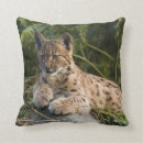 Suche nach luchs kissen Wild