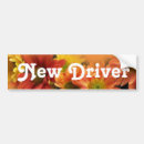 Suche nach gelbe blumen autoaufkleber Blumenreich