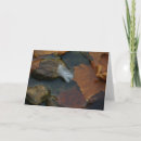 Suche nach weiße federn karten Wasser