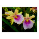 Suche nach zucht karten Natur