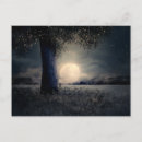 Suche nach glühwürmchen postkarten Magisch