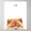 Suche nach chow chow poster Hund