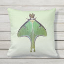 Suche nach motten kissen Schmetterling