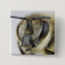 Suche nach wirbellos buttons Tier