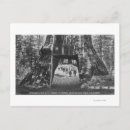 Suche nach pionier postkarten Staaten