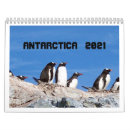 Suche nach die antarktis kalender Pinguin