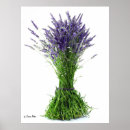 Suche nach aromatherapie poster Botanik