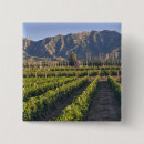Suche nach reben buttons Weingut