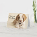 Suche nach beagles karten Puppy