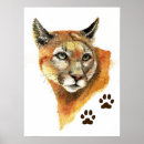 Suche nach cougar poster Natur