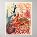 Suche nach great barrier reef poster Farbenfroh