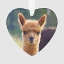 Suche nach alpaka ornamente Lama