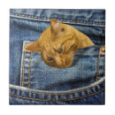 Suche nach für katzenliebhaber fliesen Lustig