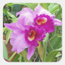 Suche nach orchideen aufkleber Floral