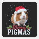 Suche nach lustige schwein aufkleber Winter