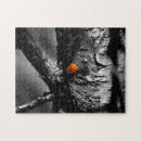 Suche nach marienkäfer puzzle Insekt