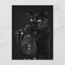 Suche nach fotograf postkarten Tiere