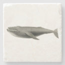 Suche nach wale untersetzer Meereswelt