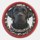 Suche nach schwarzer labrador aufkleber Süß