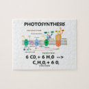 Suche nach chemie puzzle Bildung