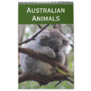 Suche nach koala kalender Tiere