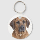 Suche nach ridgebacks schlüsselanhänger Rhodesian ridgeback