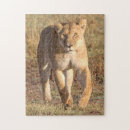 Suche nach afrika puzzle Löwe