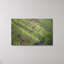 Suche nach landwirtschaftlich leinwandbilder Landschaft