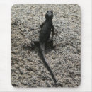 Suche nach eidechse mousepads Natur