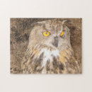 Suche nach raubvogel puzzle Wild lebende tiere