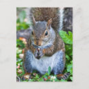 Suche nach bisse postkarten Niedlich