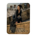 Suche nach grindelwald magnete Photograph