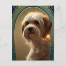 Suche nach havanese postkarten Welpe