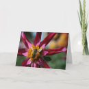 Suche nach dahlie karten Mit blumen