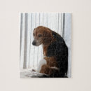 Suche nach beagles puzzle Niedlich