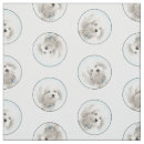 Suche nach cotons Coton de tulear