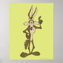 Suche nach wile e coyote poster Looney musik