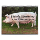 Suche nach albern kalender Humorvoll