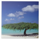 Suche nach aruba fliesen Ozean