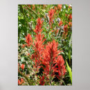 Suche nach malerpinsel poster Wildblumen