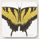 Suche nach studioschuß untersetzer Wild lebende tiere