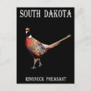 Suche nach fasan postkarten Dakota