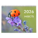 Suche nach käfer kalender Schmetterling