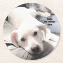 Suche nach müde untersetzer Faul