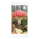 Suche nach werbekarten Rot